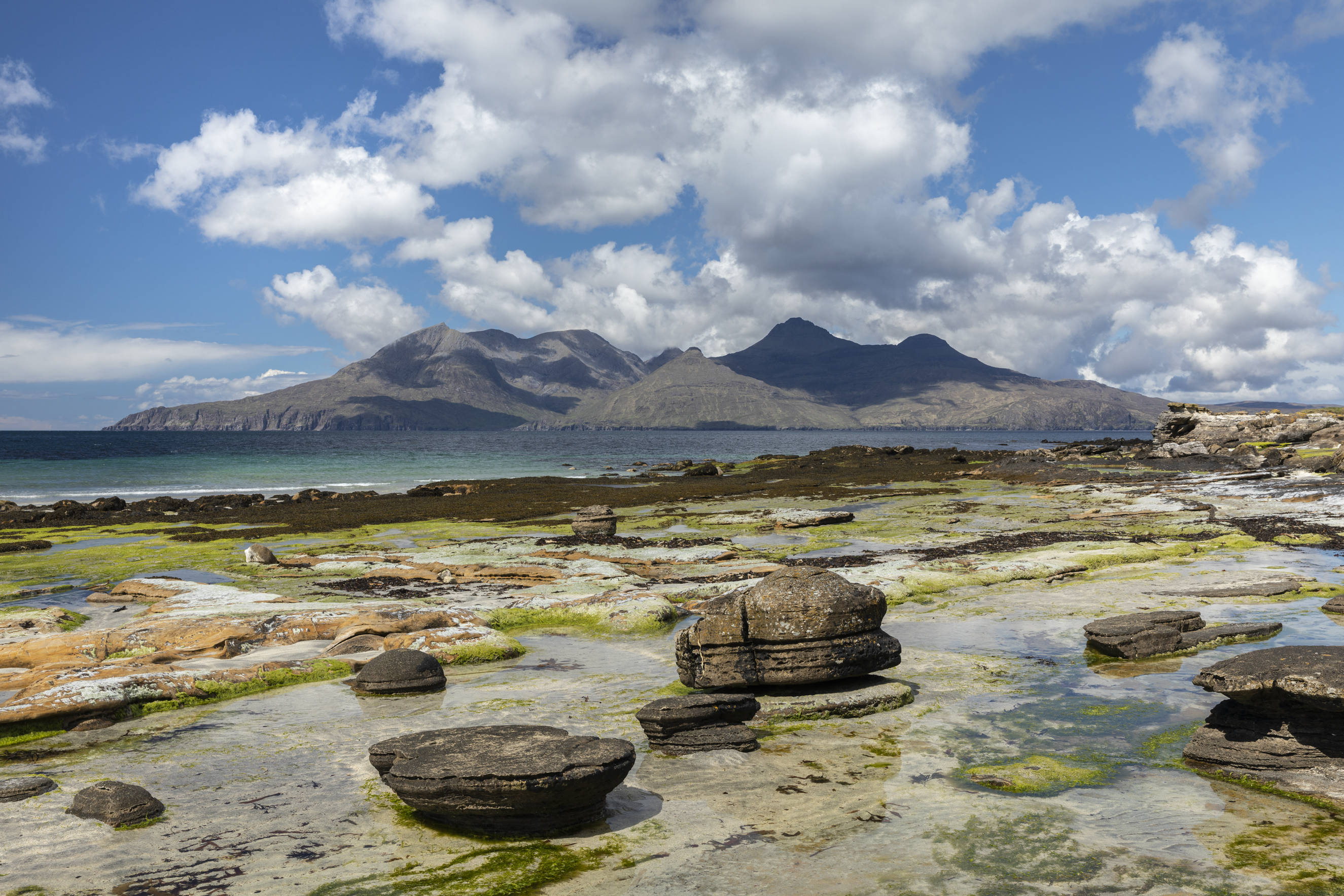 North face sandy shores shorts online