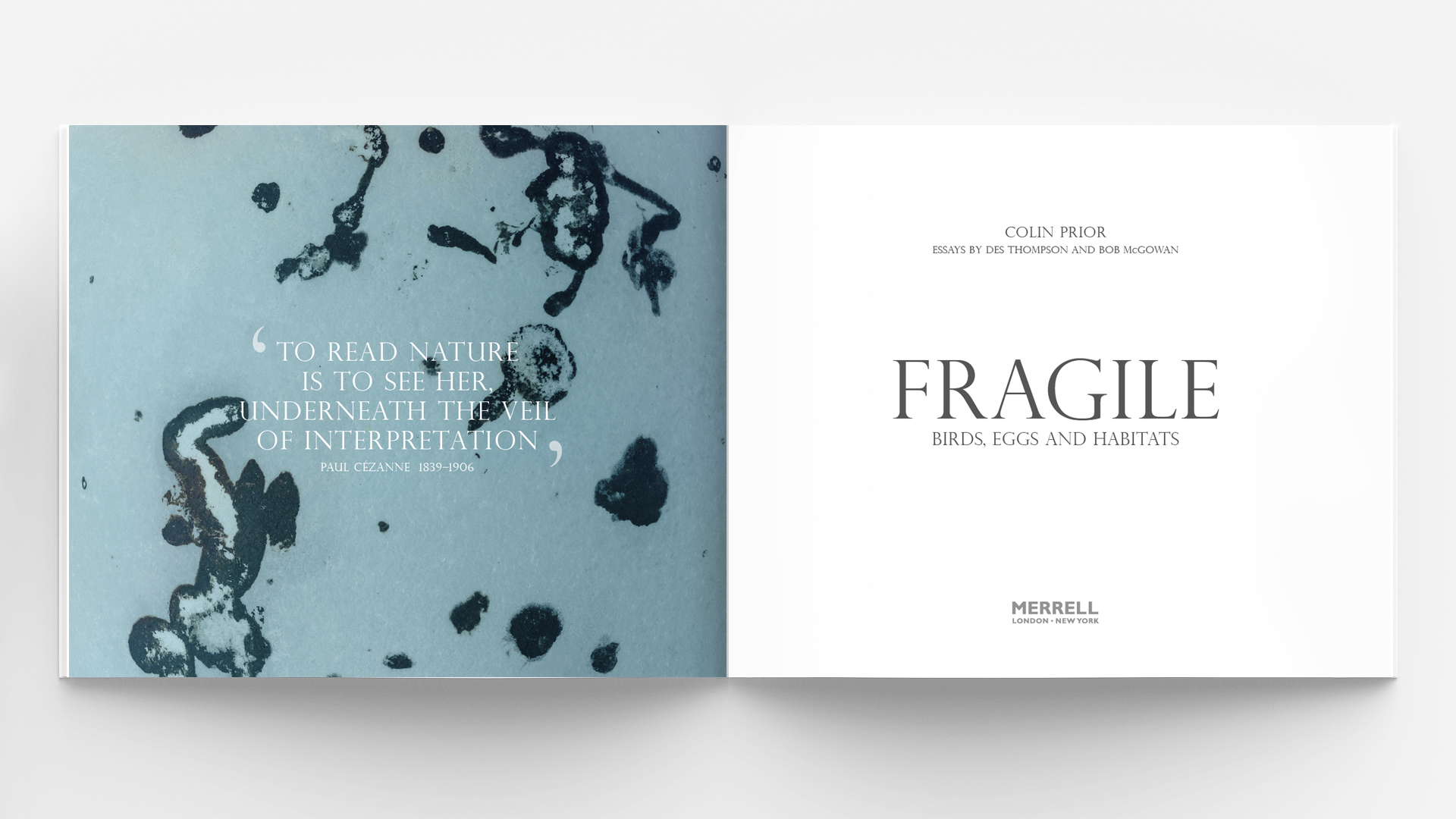 Fragile - Birds, Egg and Habitats